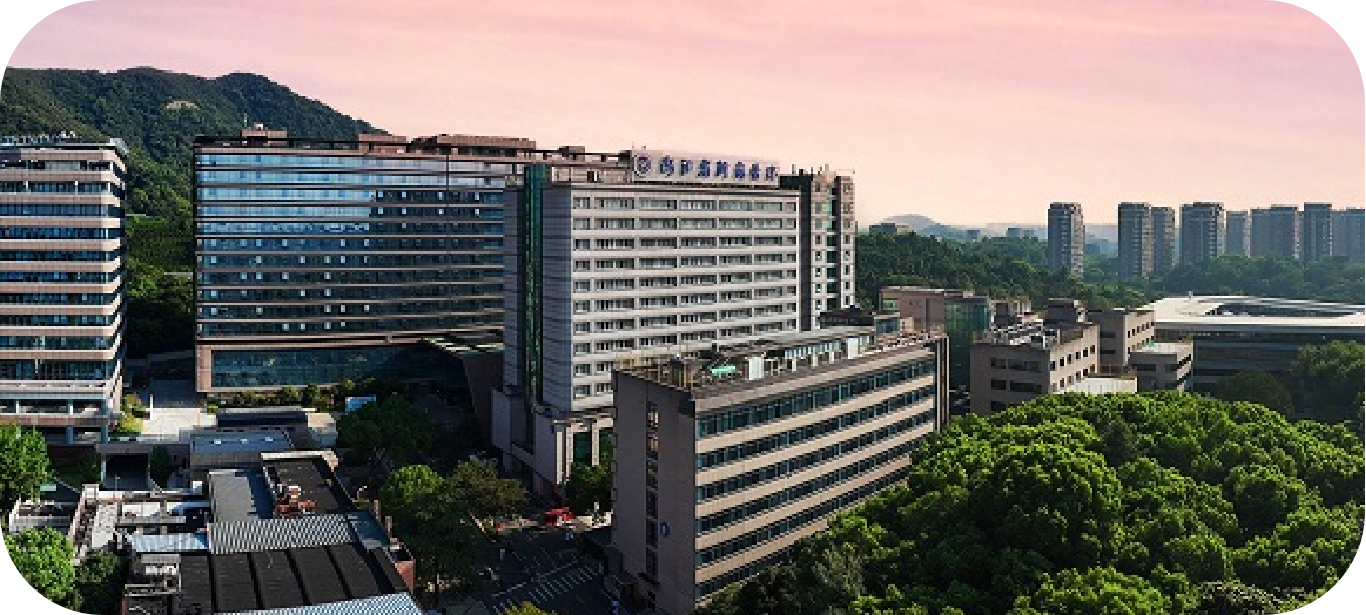品牌型网站建设